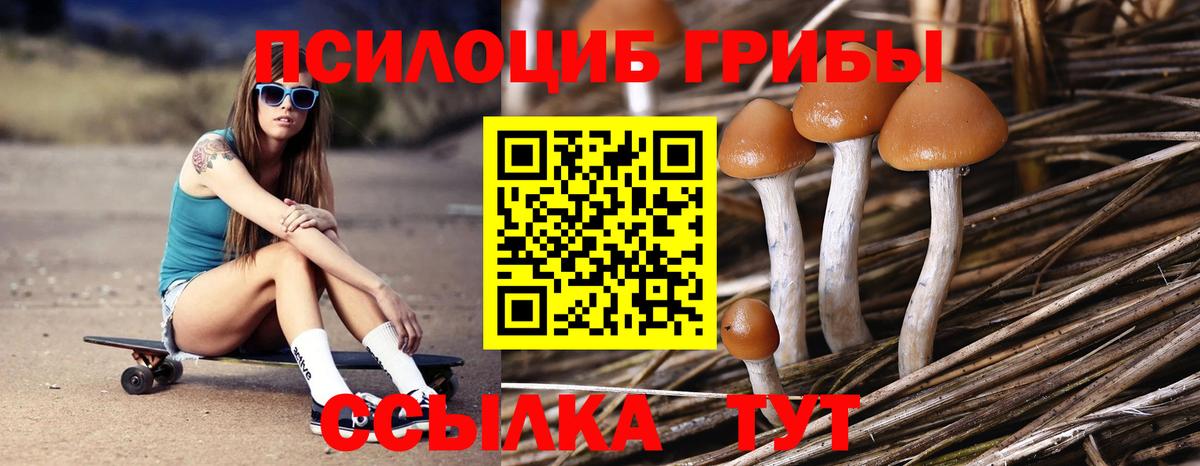 Псилоцибиновые грибы GOLDEN TEACHER  Вход с VPN  Ирбит 